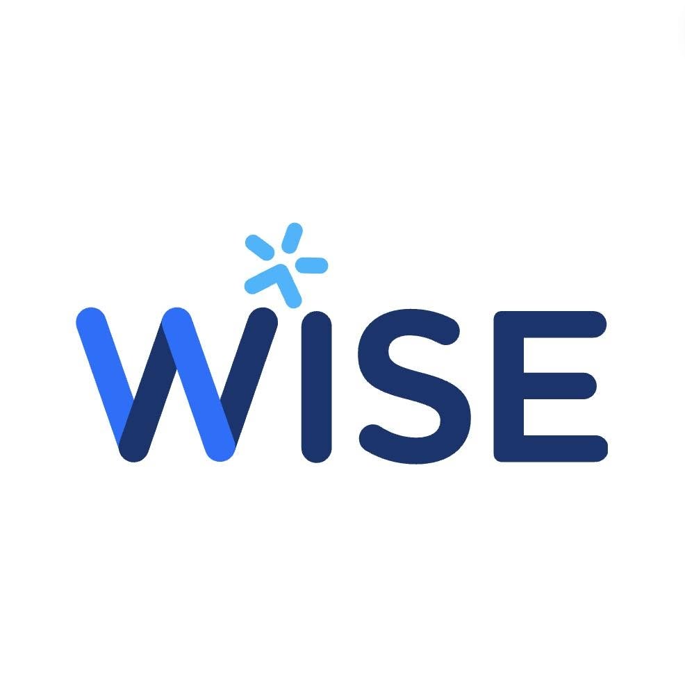 WISE Mentoring logo